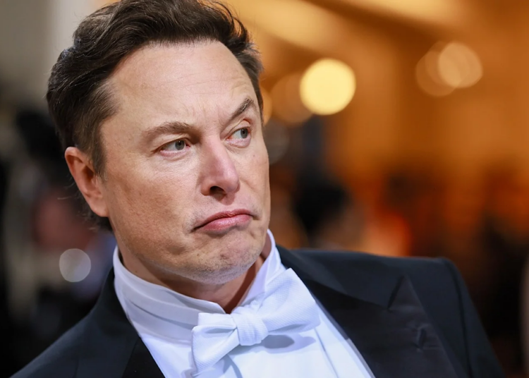 Elon Musk frappe encore : Grok devient accessible à tous en ligne